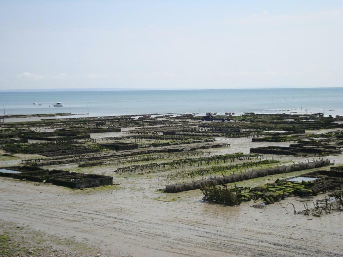 Apartament Petit Coin De Paradis Cancale Zewnętrze zdjęcie